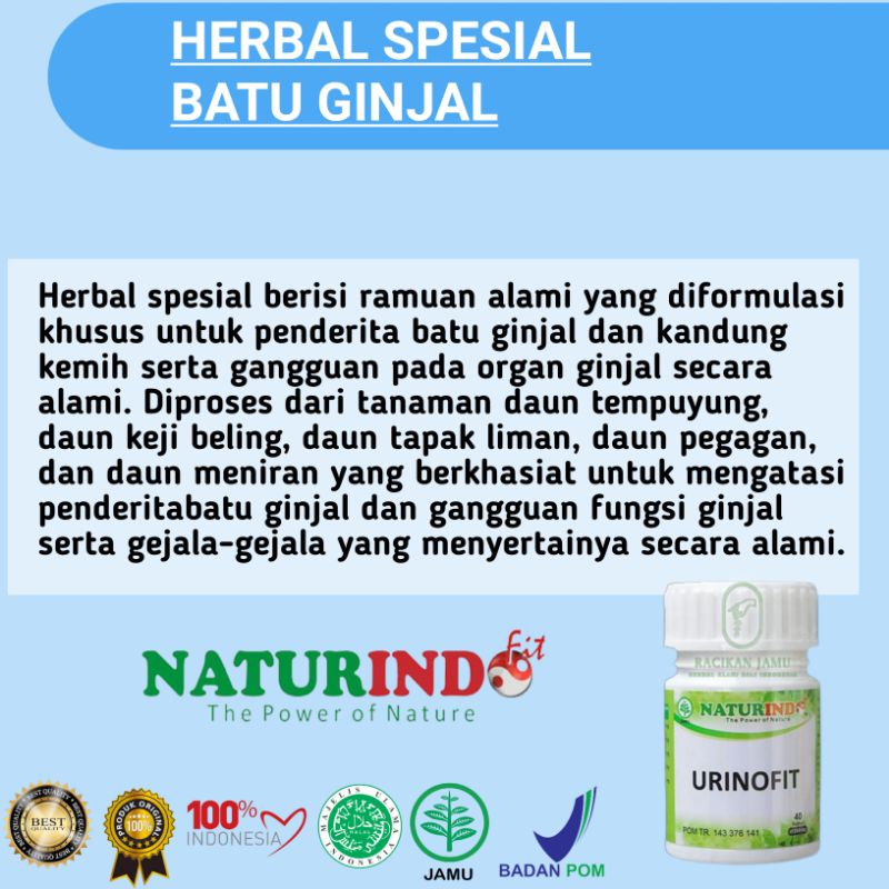 URINOFIT obat herbal batu ginjal dan pembersihan kandung kemih-1