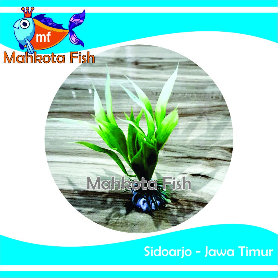 Hiasan Aquarium RUMPUT LAUT | Bunga Plastik Aquarium | Bunga Hiasan Aquarium | Tanaman Hias