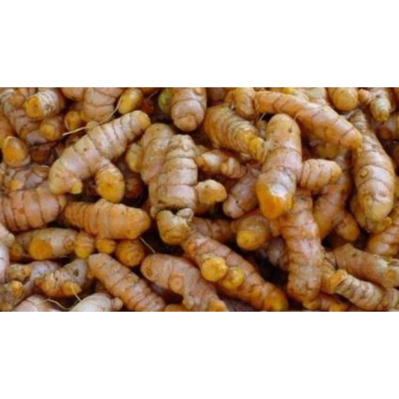 

Kunyit super - Rempah indonesia