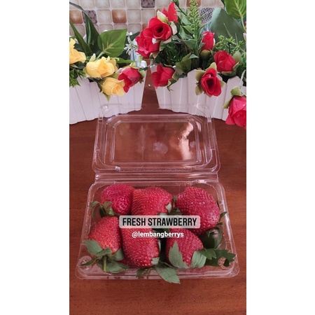 

Buah Strawberry Lembang | Mencir segar berat 250 Gram per Pack