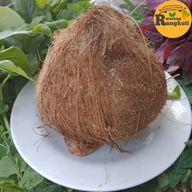 Kelapa 1 buah 10.000