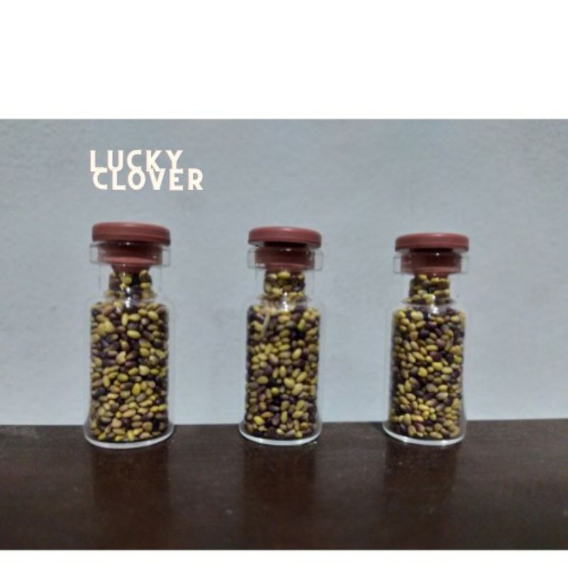 Lucky clover bibit benih tanaman rumput air seed aquascape aquarium bibit aquascape tanaman aquascap