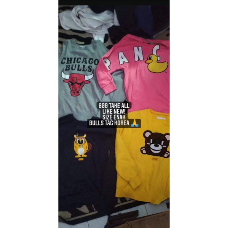 sepaket pancoat +bulls