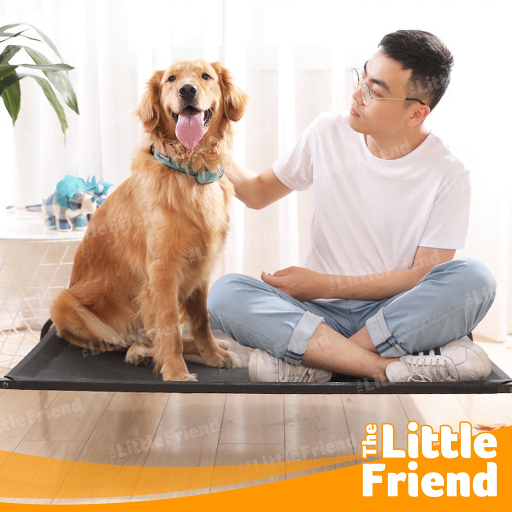 Tempat Tidur Anjing Kucing Dog Elevated Bed Portable Tebal &amp; Washable