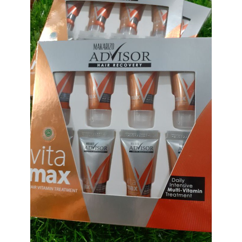 Makarizo Advisor Hair Recovery