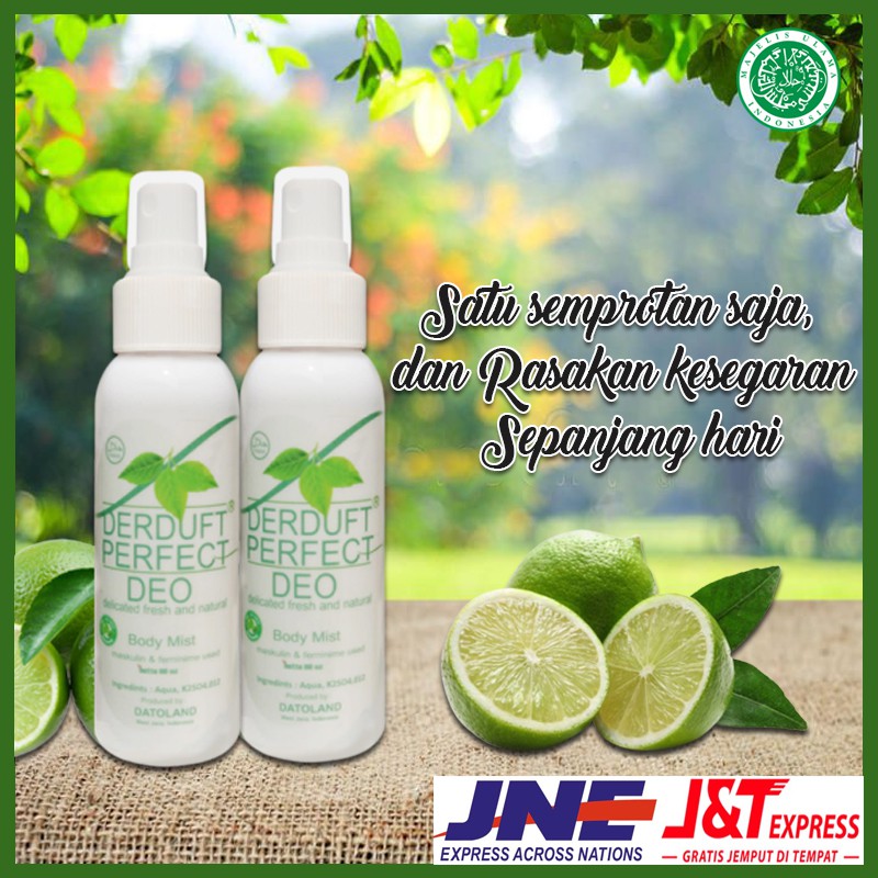 Jual DEODORANT YANG AMAN UNTUK IBU HAMIL DAN BPOM DERDUFT PERFECT DEO