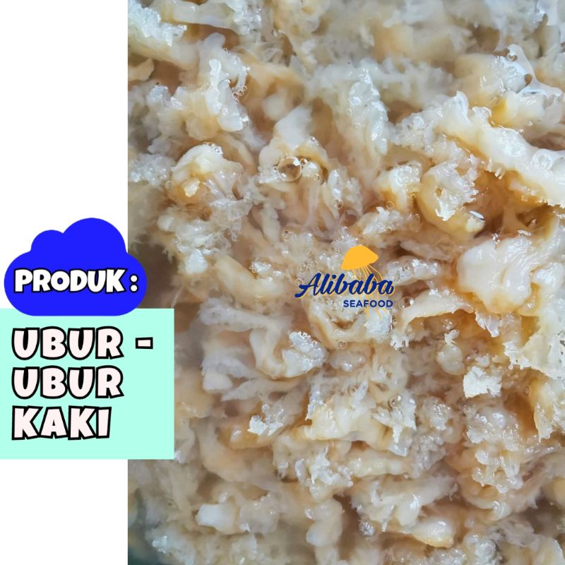 

Ubur Jellyfish Kaki Mentah 1kg