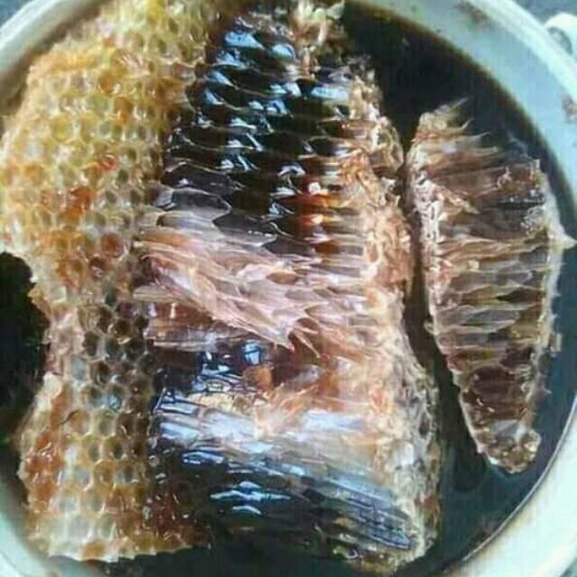 

Madu lebah hutan palembang