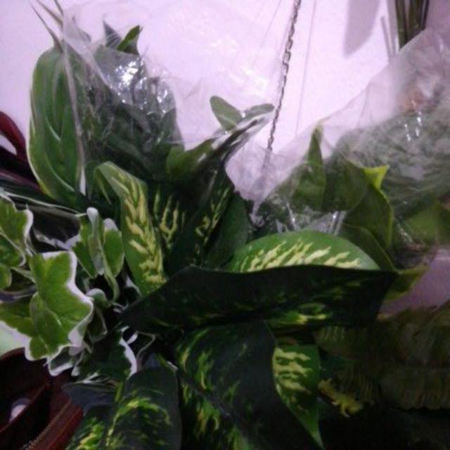 Daun Mix X1 Daun bunga  grosir  artifisial murah leaves 