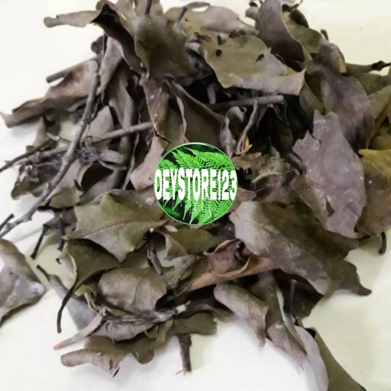 

Benalu pohon Alfukat kering paket 500 Grm
