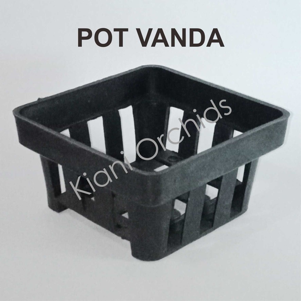 Pot Anggrek Vanda MURAH