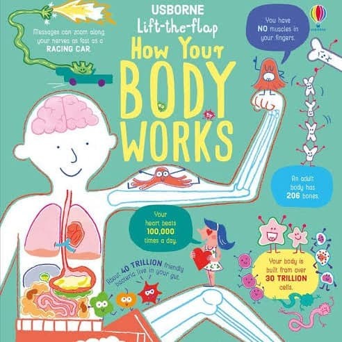 New Usborne Lift The Flaps How Your Body Works. Buku Anak Import