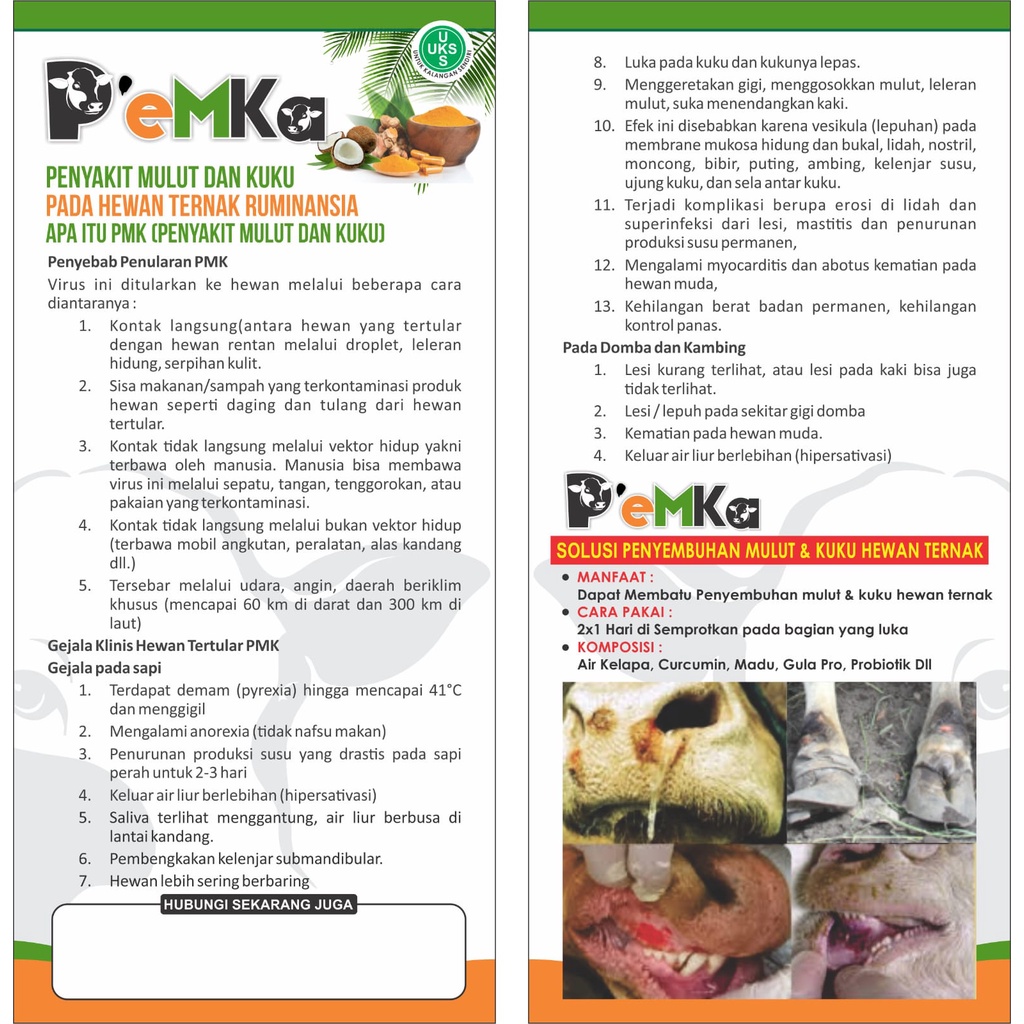 Obat PMK P'emka Untuk Virus PMK Pada Sapi, Kambing Dan Babi