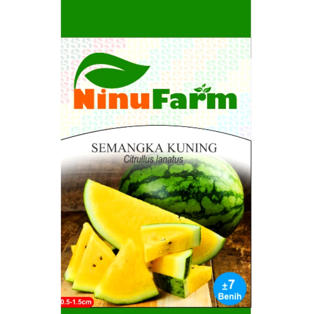 Benih Biji Semangka Kuning - Ninu Farm