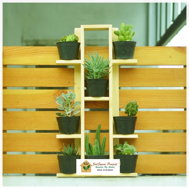 Rak Dinding kayu Jati Belanda Pot Tanaman Kecil Bunga Kaktus Murah