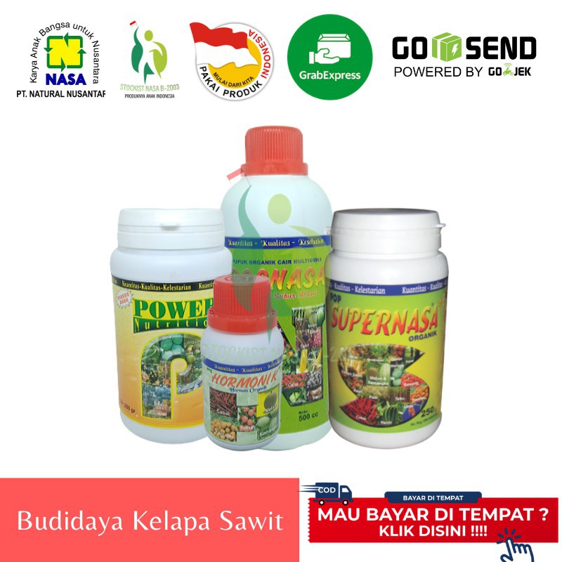 

Jual Produk PAKET BUDIDAYA KELAPA SAWIT