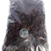 

MURAH ASAM KANDIS - GARCINIA XANTHOCHYMUS 1KG