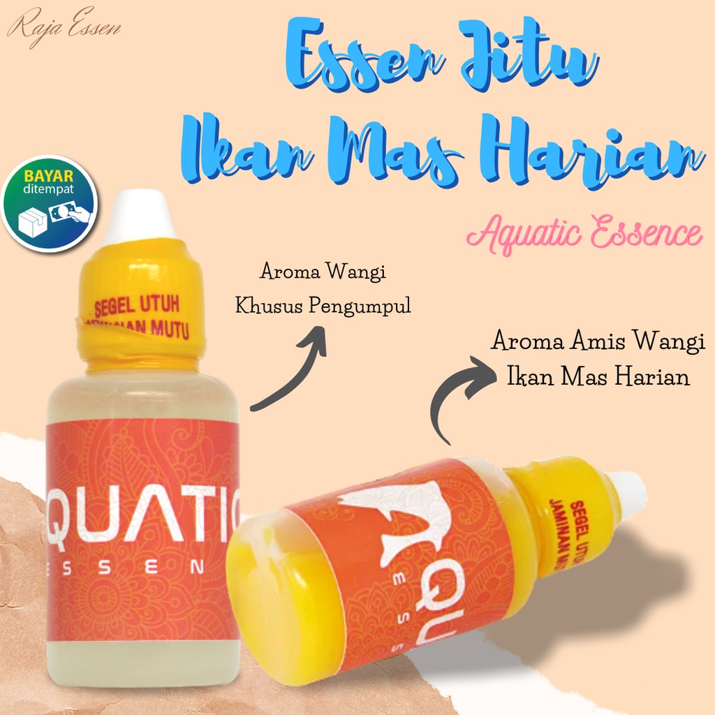 Essen Ikan Mas, Essen Pengumpul Ikan, Essen Ikan Mas Harian, Essen Kilo Gebrus  | Aquatic Essen