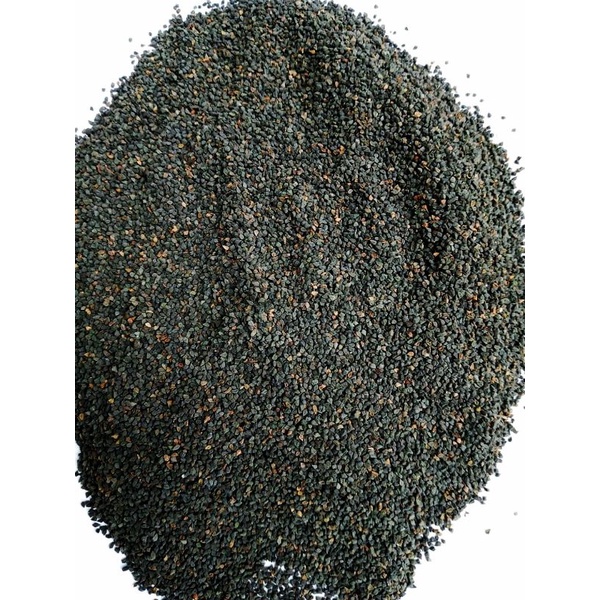 Jinten Hitam 1 kg / Habbatus sauda'