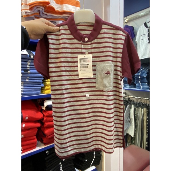 kaos anak laki laki kera shanghai by crocodile