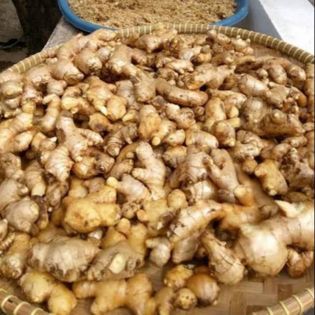 

Jahe Emprit 1 Kg