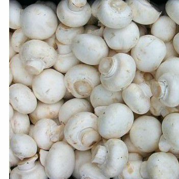 

jamur champinon /kancing ( 250 gram)