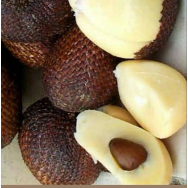 Salak Pondoh Manis Segar Fresh 500 gram - 1 Kg