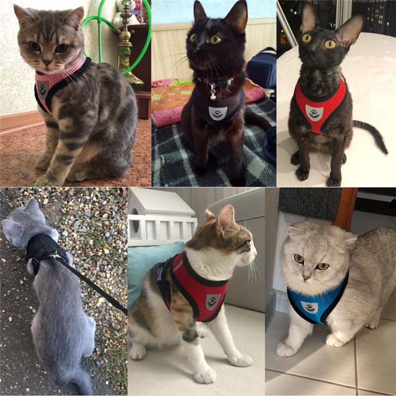 Rompi Harness Bahan Mesh Breathable Dengan Tali Tuntun Untuk Anjing / Kucing