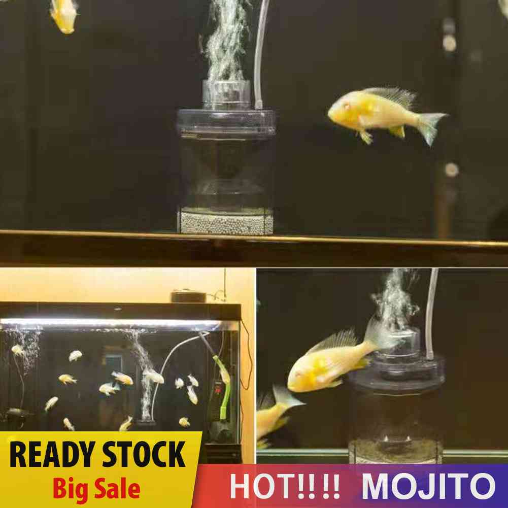 Bangku Ikan Otomatis Dengan Suction Vacuum Untuk Tangki Ikan