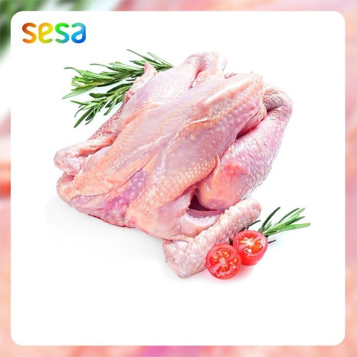 

Ayam Kampung Natural Beku 0.6 - 0.7 Kg Best Seller