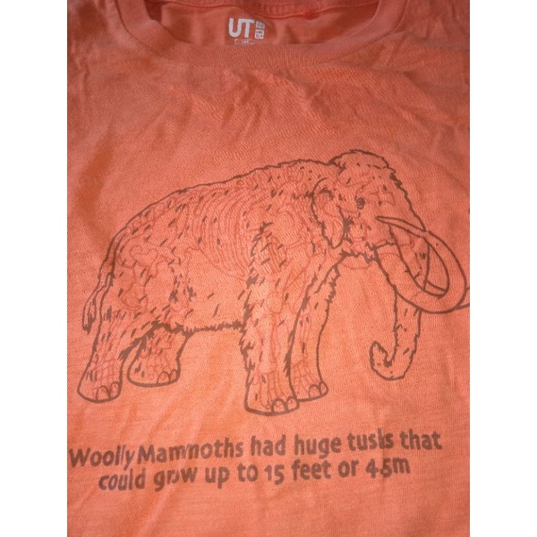 PL KAOS CEWEK UNIQLO