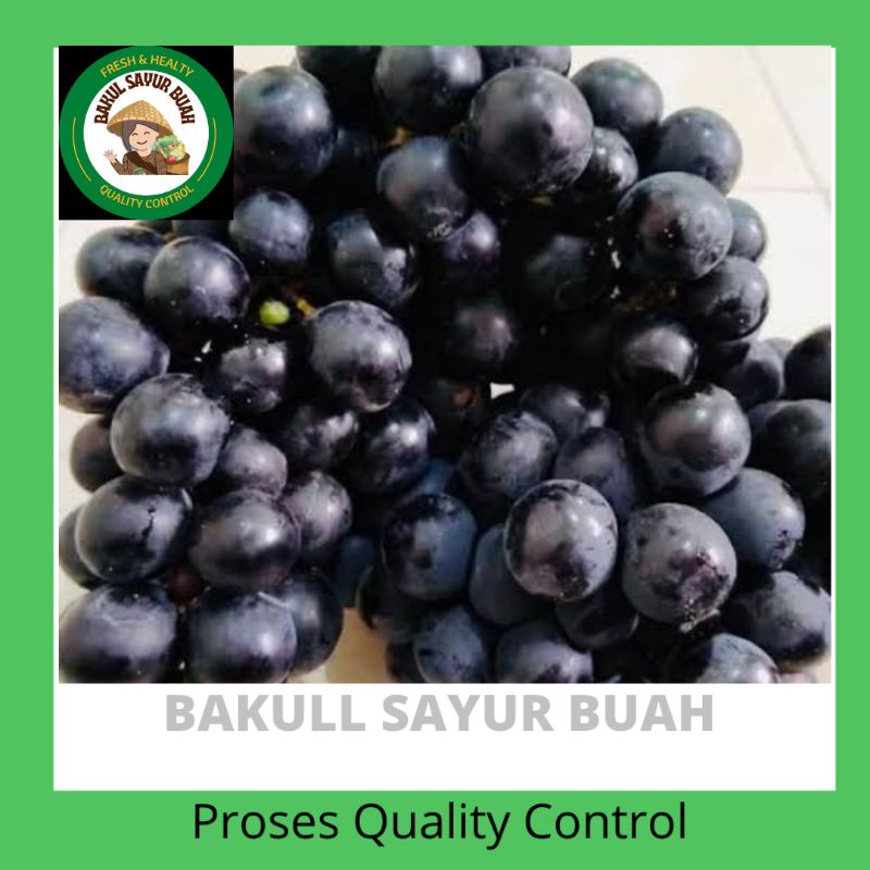 

ANGGUR AUTUMNN TANPA BIJI FRESH 500 GR