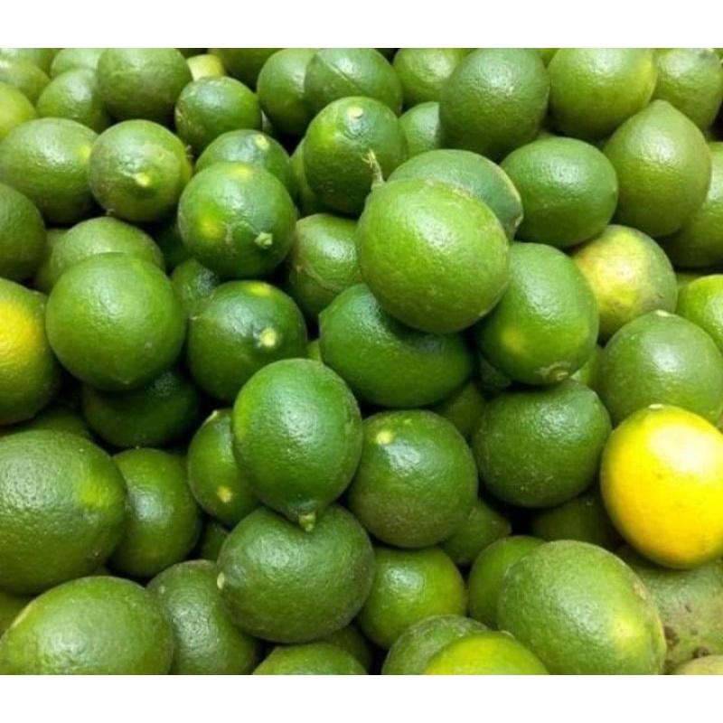 

Jeruk lemon california Bandung