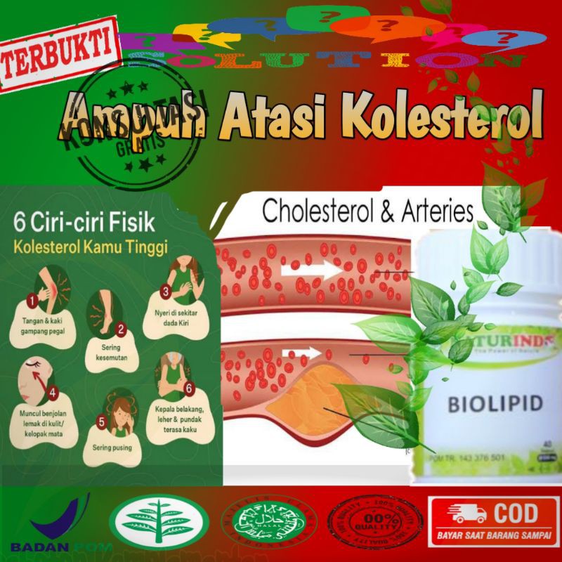 

OBAT HERBAL KOLESTEROL BIOLIPID