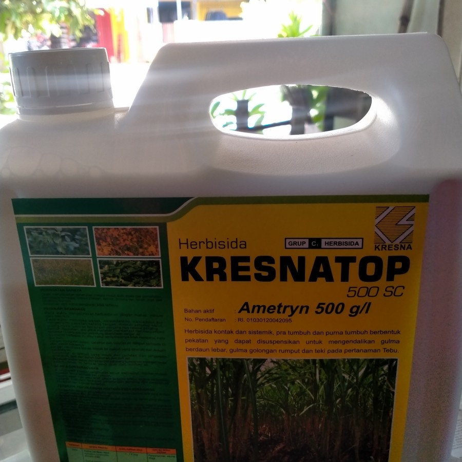 KRESNATOP 5 liter Herbisida pada tanaman tebu