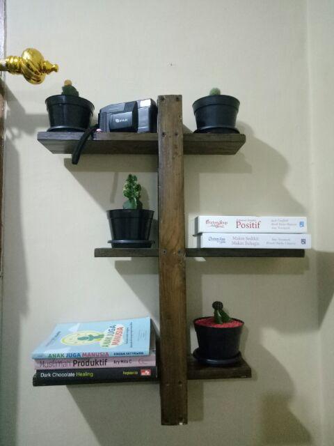 Media Tanam Kaktus/sukulen