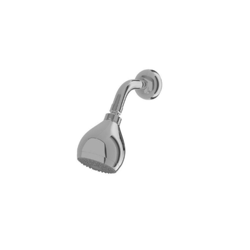 TOTO Shower Head TX466S Shower Tanam