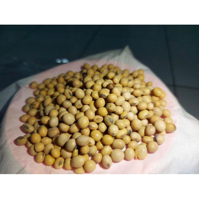 

kacng kedelai premiun 500g