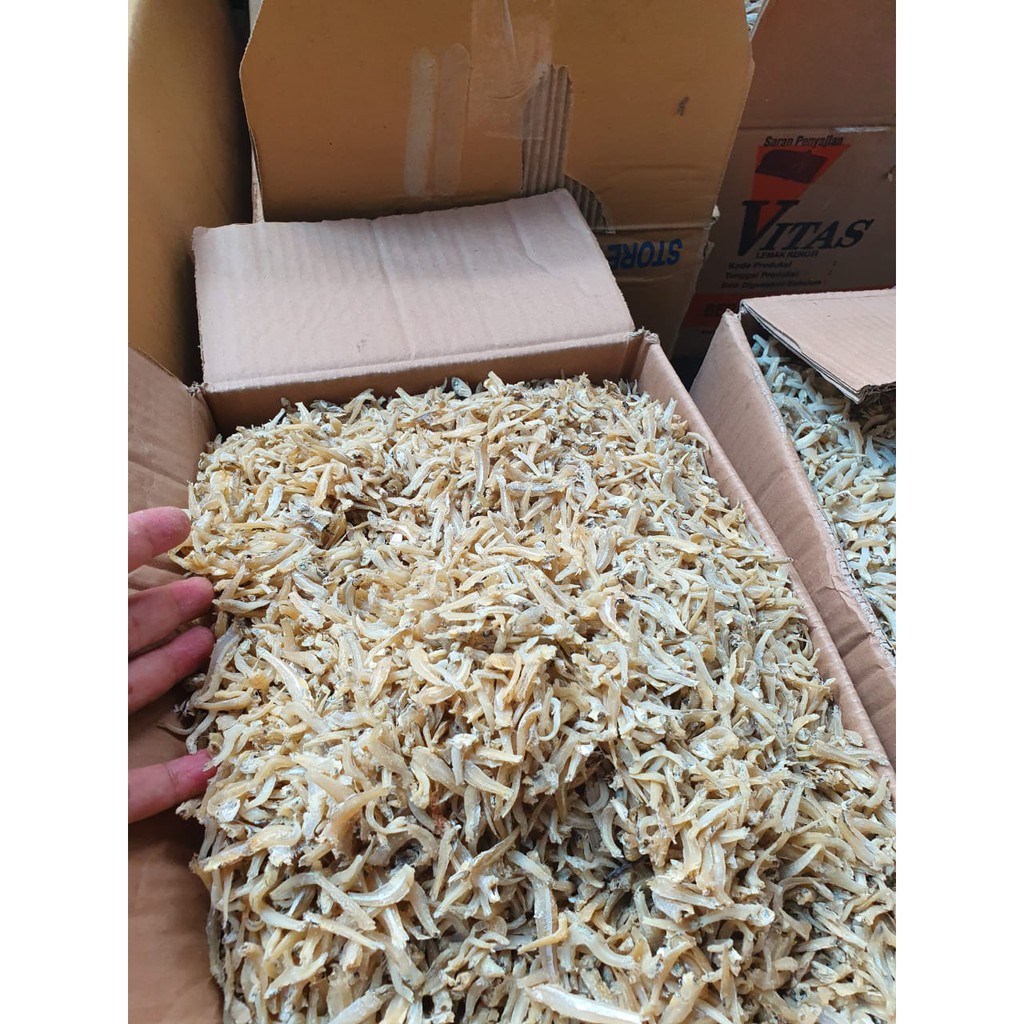 

Teri Buntio 1 Kg | Teri Buntiau Medan | Teri Buntiau