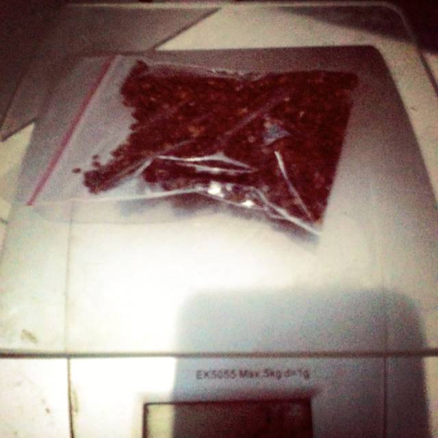 Biji indigofera istimewa