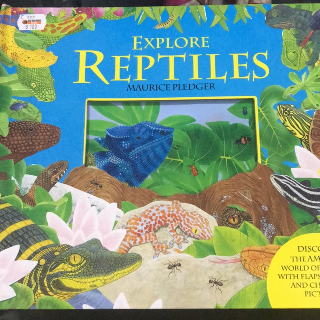 Explore Reptiles by Maurice Pledger