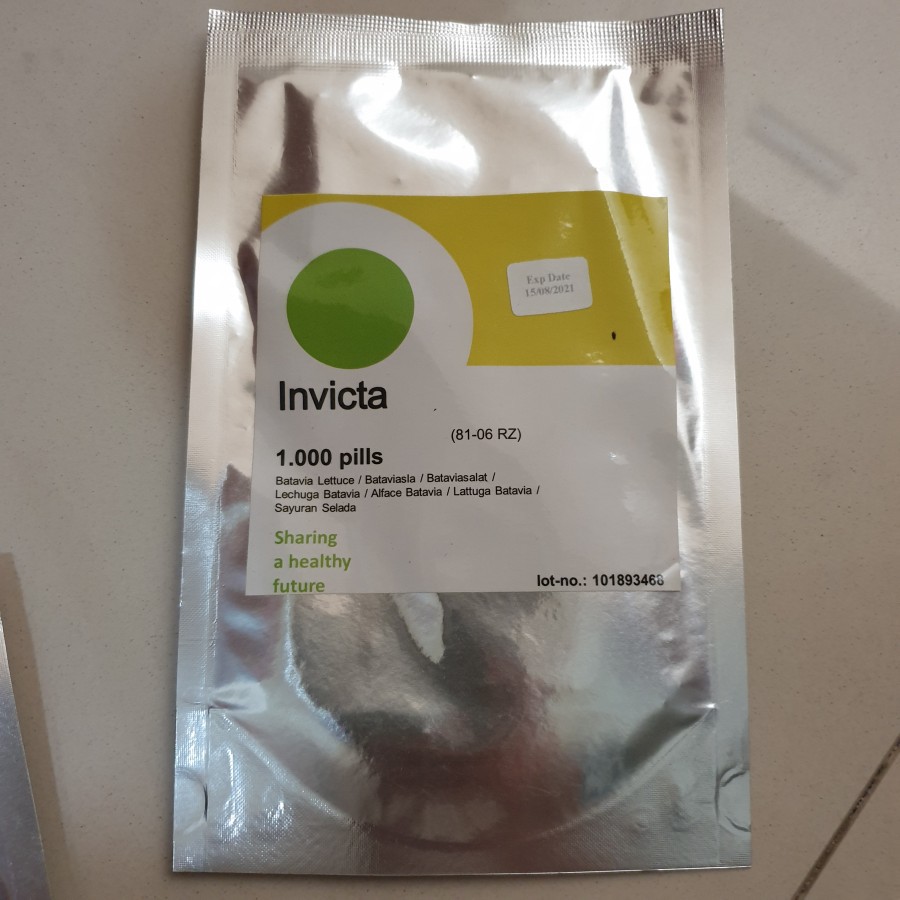 Bibit Benih Invicta RZ Batavia Lettuce Invicta Rijk Zwaan (1000 seeds)
