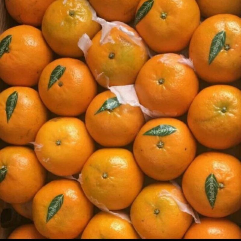 

JERUK PAKISTAN BERKUALITAS
