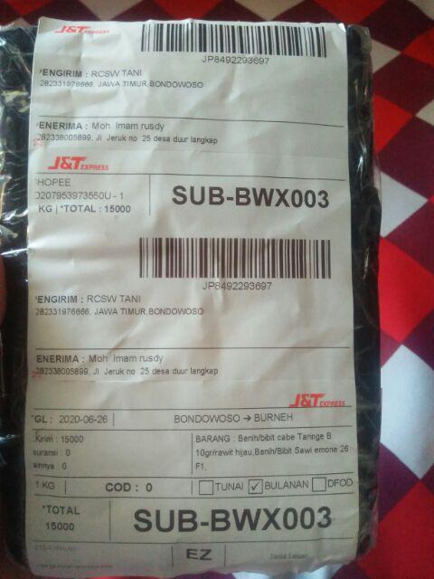 Benih/bibit Sawi Emone 26 F1