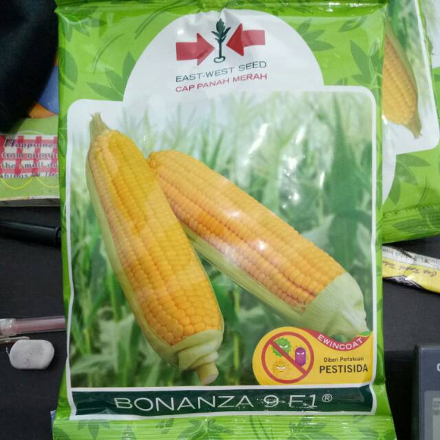 Benih jagung manis bonanza 9 F1 isi 1.800 butir