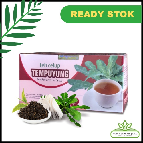 

Obat herbal Teh Tempuyung Original Tazakka mengobati batu ginjal melancarkan buang air kecil Halal Bpom