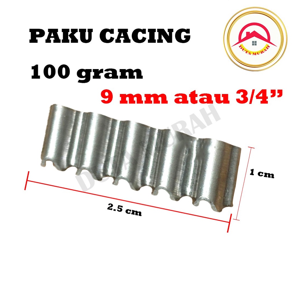 Paku Cacing 9 mm / 12 mm isi 100 Gram /Paku Papan Pecah