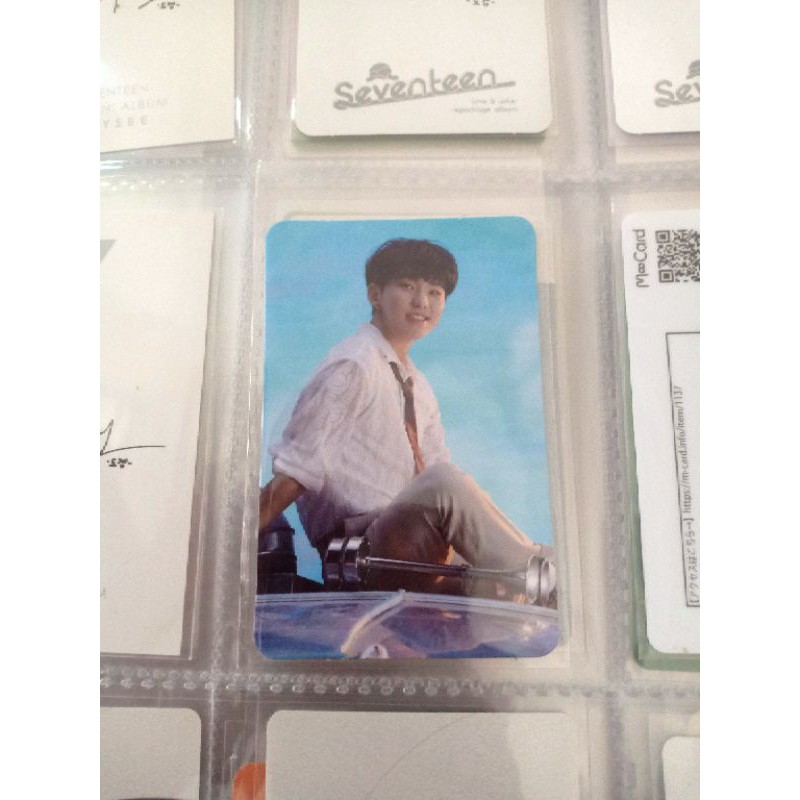 synnara china hoshi (booked)