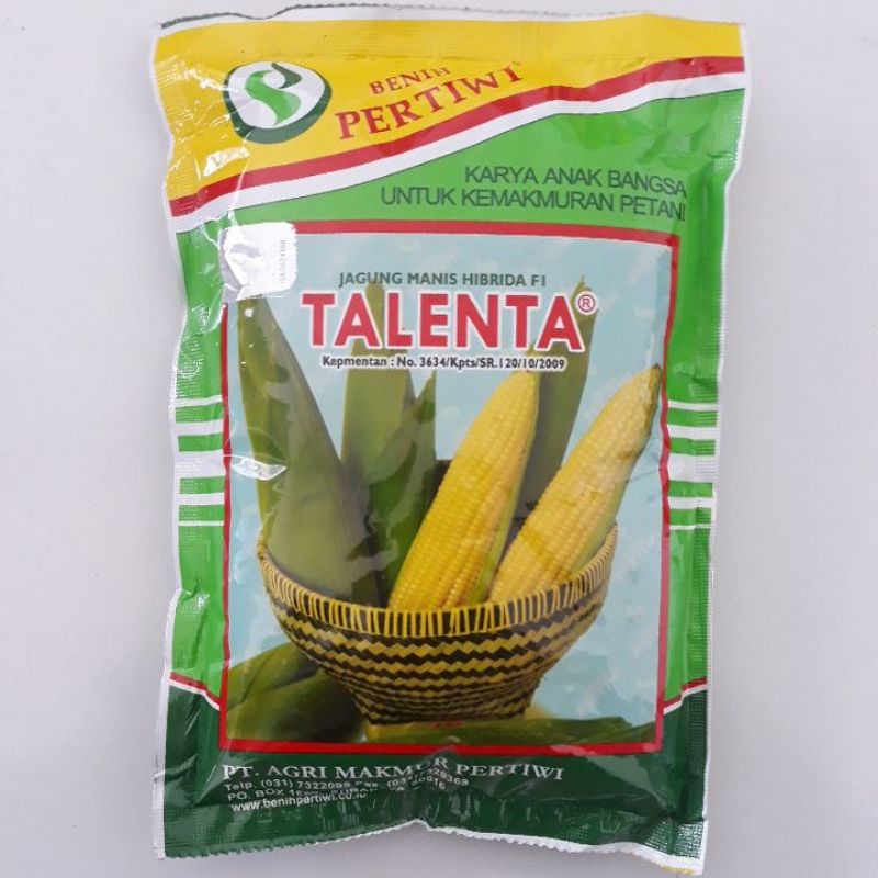 Jual Benih Jagung Manis Talenta 250 Gr 1750 Biji Shopee Indonesia 4666