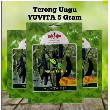 CAP PANAH MERAH BIBIT BENIH TANAMAN TERONG UNGU YUVITA 5 GRAM